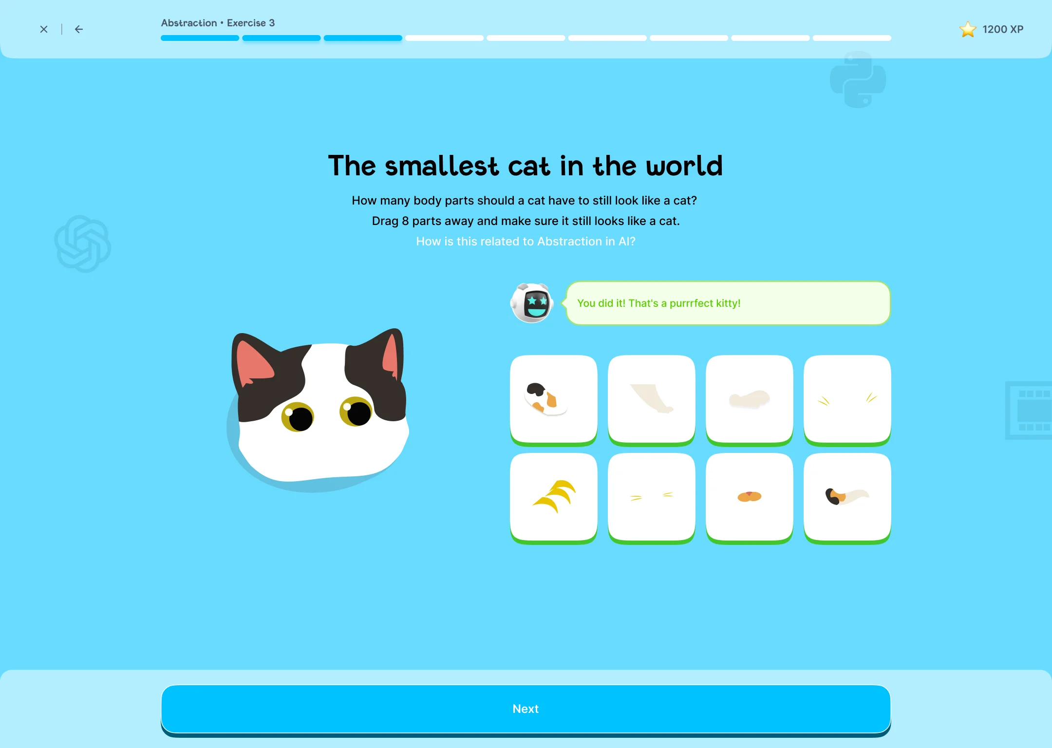 The smallest cat in the world exercise
